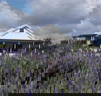 Amandine Lavender - Accommodation in Brisbane