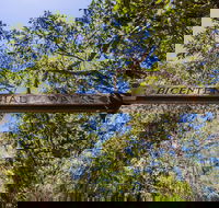 Bribie Island Bicentennial Trails - Accommodation in Brisbane