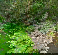 Brindle Creek Picnic Area - Accommodation in Brisbane