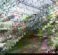 Cairns ZOOM and Wildlife Dome - Accommodation in Brisbane