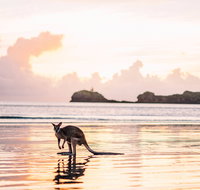 Cape Hillsborough  A Low Tide Fishing Adventure - Accommodation in Brisbane
