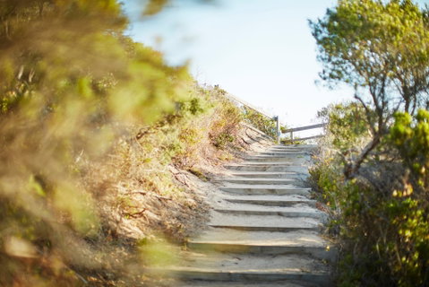 Coppins Walk Track (part Of The Coastal Walk) - Accommodation in Brisbane 0