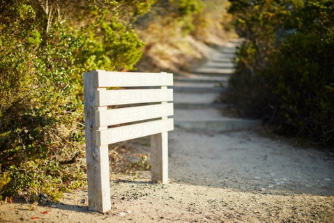 Coppins Walk Track (part Of The Coastal Walk) - Accommodation in Brisbane 1
