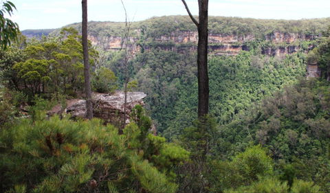 East Rim Wildflower Walking Track - Accommodation in Brisbane 0