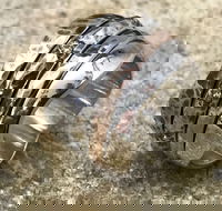 Eclectopia Gifts and Specialty Homewares - Accommodation in Brisbane