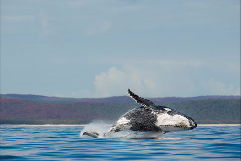 Fraser Coast Region - Accommodation in Brisbane 1
