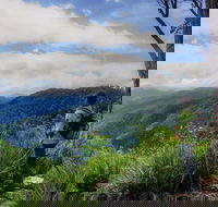 Gloucester Falls Walking Track - Accommodation in Brisbane