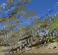 Green track - Accommodation in Brisbane