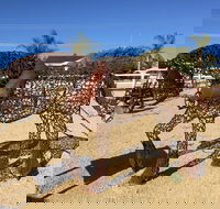 Gundersen Reserve - Accommodation in Brisbane