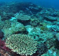 Hanging Rock Dive Site - Accommodation in Brisbane