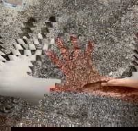 Hands of Fame Park - Accommodation in Brisbane