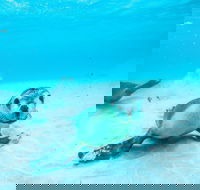 Jurien Bay - Accommodation in Brisbane