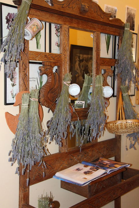 Lavender House In Railway Park - Accommodation in Brisbane 1