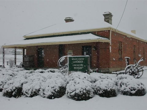 Lavender House In Railway Park - Accommodation in Brisbane 2