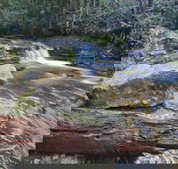 Liffey Falls Reserve - Accommodation in Brisbane