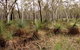 Livingstone National Park - thumb 0