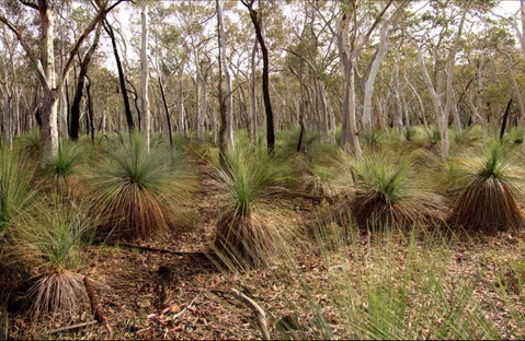 Livingstone National Park - Accommodation in Brisbane 0