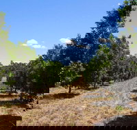 MacNuts WA Shop and Factory - Accommodation in Brisbane