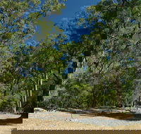 Maidens Tuart Forest - Accommodation in Brisbane