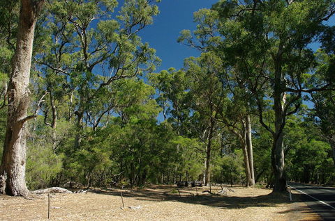 Maidens Tuart Forest - Accommodation in Brisbane 0