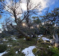 Mount Torbreck Summit Walk - Accommodation in Brisbane