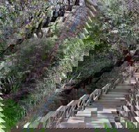 Mulwaree River Walkway - Accommodation in Brisbane