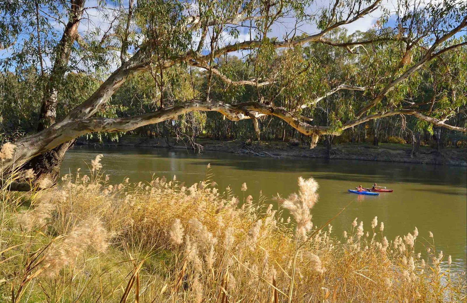 Yanga NSW Accommodation in Brisbane