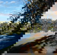 Murray River National Park - Katarapko - Accommodation in Brisbane