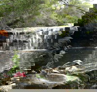 Nellies Glen Picnic Area - Accommodation in Brisbane