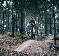 Nerang Mountain Bike Trails - Accommodation in Brisbane