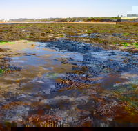 Point Danger Marine Sanctuary - Accommodation in Brisbane