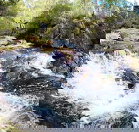 Polblue Falls - Accommodation in Brisbane