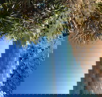 Richmond Valley Cultural Heritage Self Drive Tour - Accommodation in Brisbane