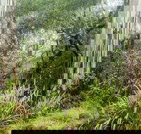 River walking track - Accommodation in Brisbane