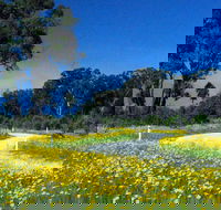 Shearer's Way - Accommodation in Brisbane