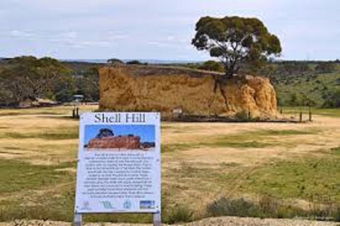 Shell Hill Reserve - Accommodation in Brisbane 0