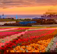 Table Cape - Accommodation in Brisbane