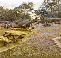 Thredbo River picnic area - Accommodation in Brisbane