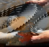 Tuena Panning for Gold - Accommodation in Brisbane