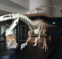 UNE Natural History Museum - Accommodation in Brisbane