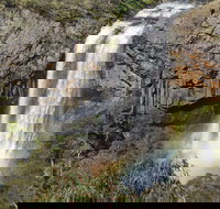 Waterfall Way Scenic Drive - Accommodation in Brisbane