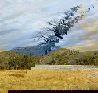 Weddin Mountains National Park - Accommodation in Brisbane