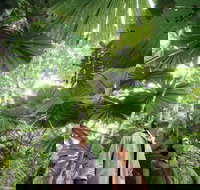 Wet Tropics Rainforest - Accommodation in Brisbane