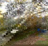 Yarrangobilly Caves  River walk - Accommodation in Brisbane