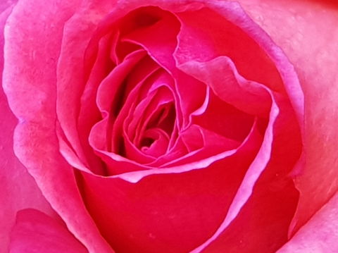 Abandon Stress Mobile Massage - Accommodation in Brisbane 0