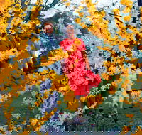 A Changing Australia The Time of Gough Whitlam - Accommodation in Brisbane