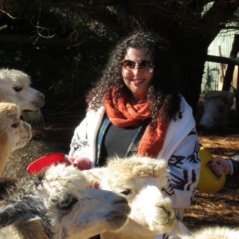 Alpaca Farm Experience At Crookwell - Accommodation in Brisbane 1