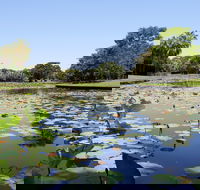 Anderson Park Botanic Gardens - Accommodation in Brisbane