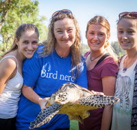 Australian Seabird Rescue - Accommodation in Brisbane