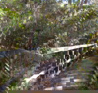 Awaba Bay Foreshore Walk - Accommodation in Brisbane